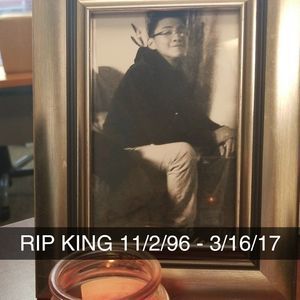 Meet your Posher, Gabriela